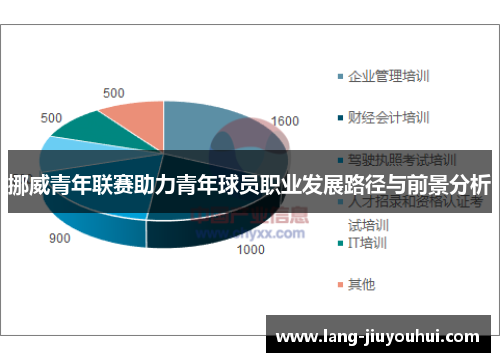 挪威青年联赛助力青年球员职业发展路径与前景分析